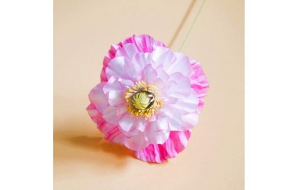 Angel’s Choir - Shirley Poppy: Elevating Paper Craft with Ethereal Design