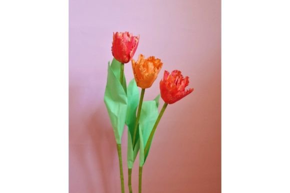 Double Fringed Tulip: A Guide to Elegant Paper Florals