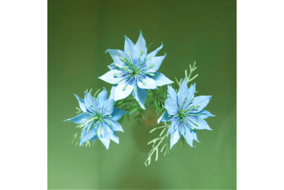 Nigella: Crafting Eternal Spring Blooms